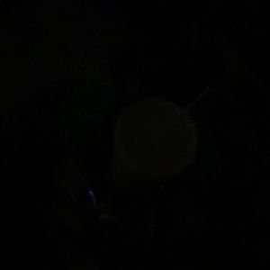 Meet your Posher, Jeffrey